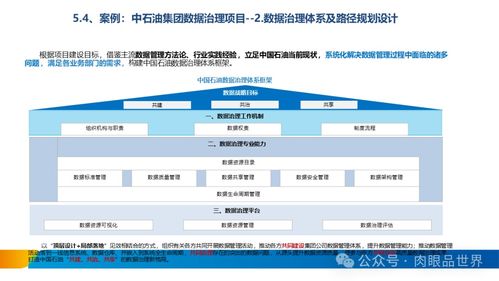 构建卓越数据资产 XX集团数据治理体系建设方案之数据处理服务篇